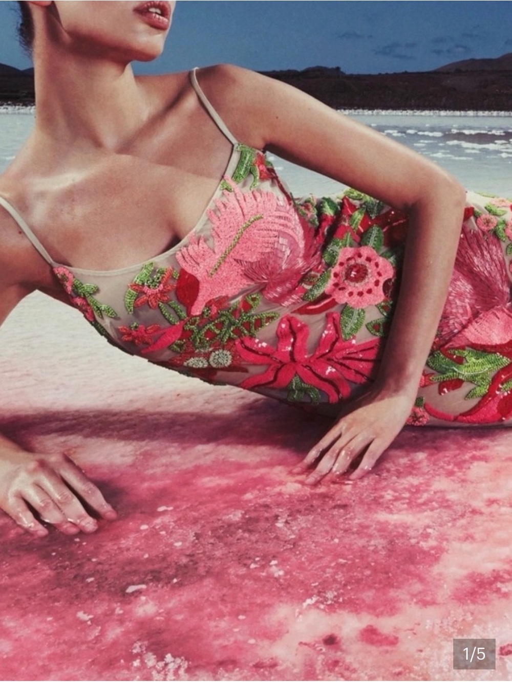 Cult Gaia Sheer Embroidered Floral Slip Dress in Pink & Green